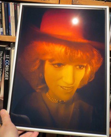 Holographic portrait of the late Princess of Wales: Diana 