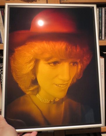 Holographic portrait of the late Princess of Wales: Diana 