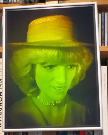 Holographic portrait of the late Princess of Wales: Diana 